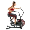 Marcy Fan Bike