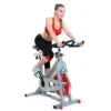 Sunny Health & Fitness Flywheel Chain Drive Pro Indoor Bike