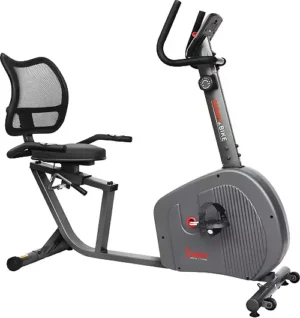 Sunny Health and Fitness Endurance Smart Recumbent Bike