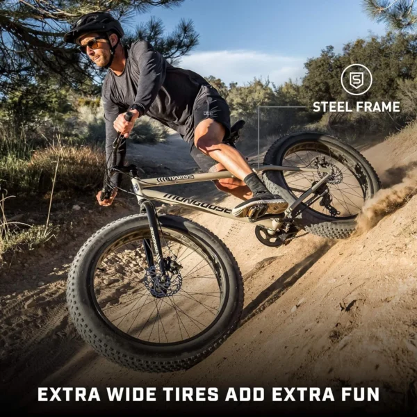 Homestock Antique Mens And Women Fat Tire Mountain Bike