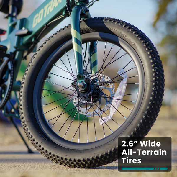 F1 Folding Electric Bike 2.0