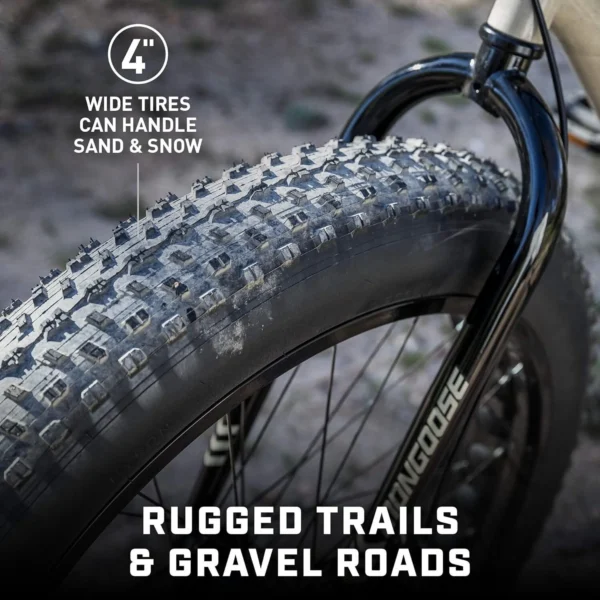 Homestock Antique Mens And Women Fat Tire Mountain Bike