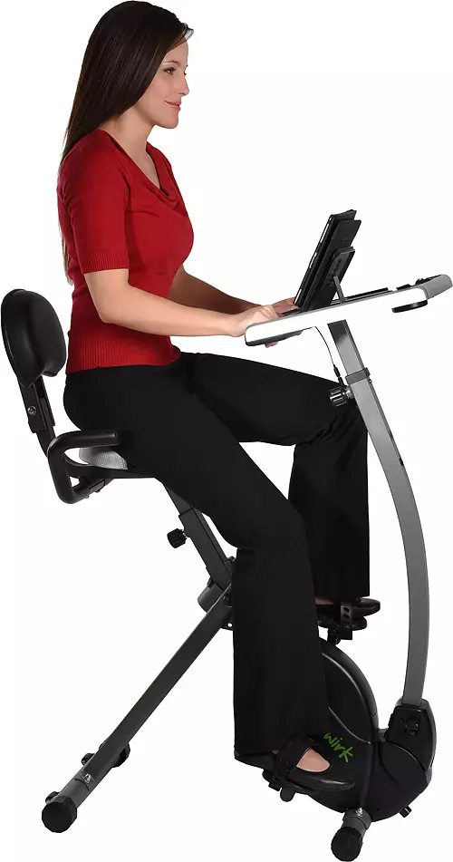 Stamina WIRK Ride Cycling Workstation