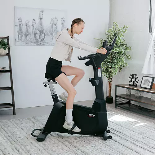 Sole B94 Upright Bike