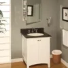 Empire Industries Biltmore Collection 24 Inch Contemporary Shaker Style Vanity with 2 Cabinet Doors