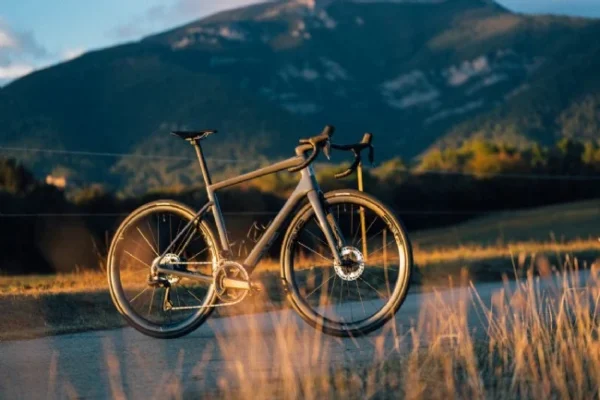 ENVE Fray Frameset