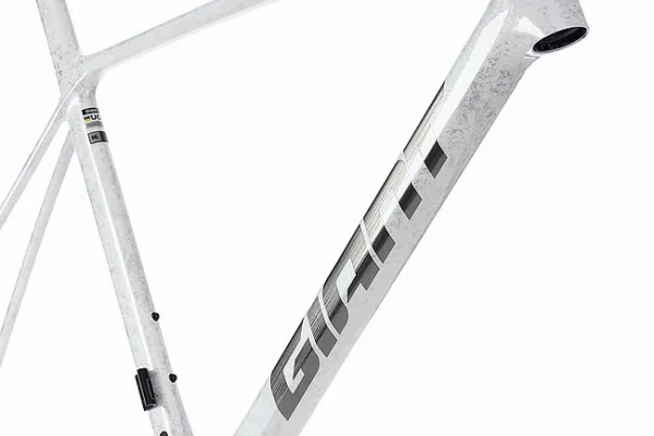 Giant 2025 TCR Advanced SL Frameset