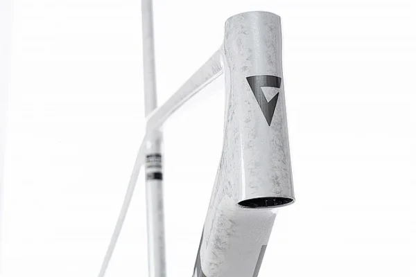 Giant 2025 TCR Advanced SL Frameset