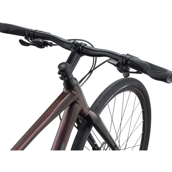 Giant Escape 2 Disc Hybrid Bike 2022