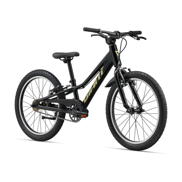 Giant Giant Talon 20 Single Speed Kids Bike