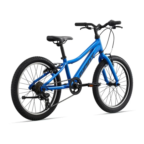 Giant XTC JR 20 Lite Kids Bike (2023)