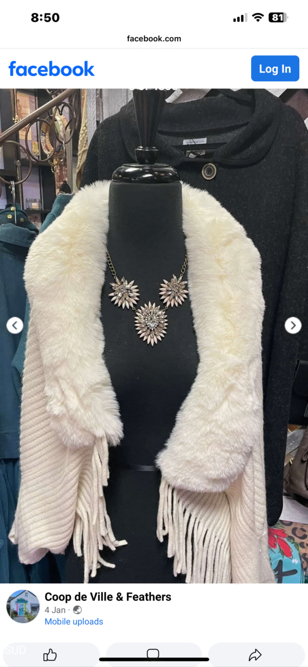 Coop And Feathers Shirt With Golden Set