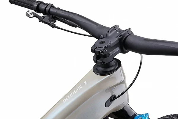 Liv 2025 Intrigue X Advanced 2 Mountain Bike