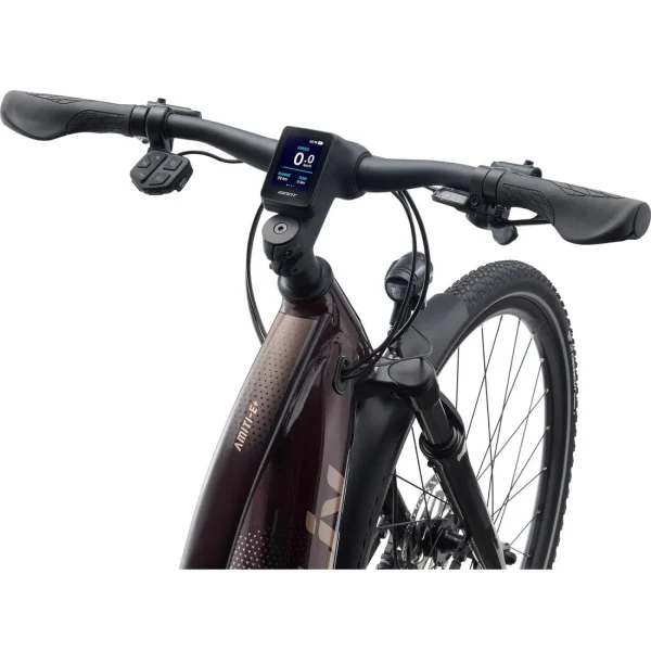 Liv Amiti E+ 2 28MPH E-Bike 2022