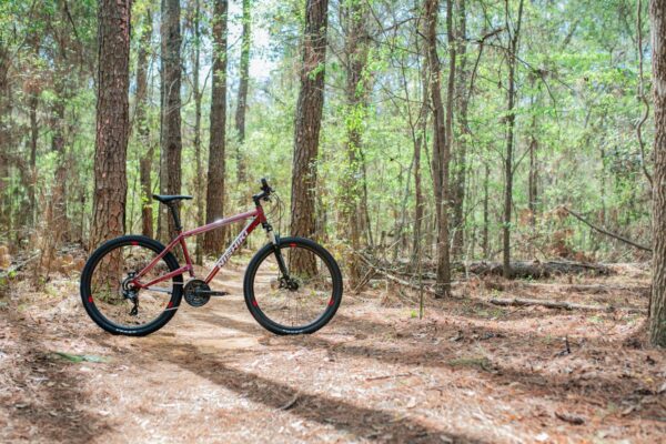 Nishiki Men's Colorado Sport Mountain Bike