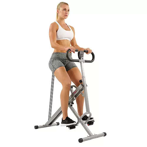 Sunny Health & Fitness Upright Row-N-Ride With Adjustable Squat Motion
