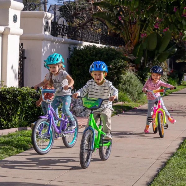 Schwinn Signature Boys' Fenite 16” Bike