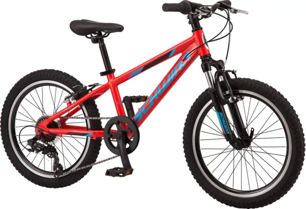 Schwinn Signature Boys' Thrasher 20'' Mountain Bike