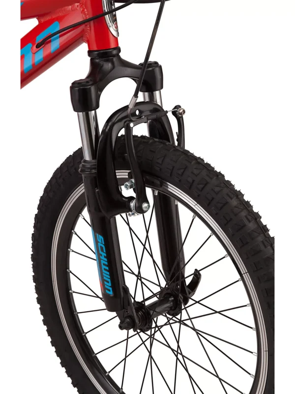 Schwinn Signature Boys' Thrasher 20'' Mountain Bike
