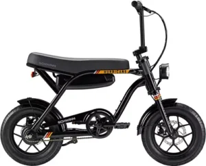 Schwinn 14” Hurricane Compact Electric Bike