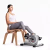 Sunny Health & Fitness Magnetic Mini Exercise Pedal Cycle
