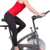 Sunny Health & Fitness Endurance Magnetic Indoor Exercise Cycle Bike