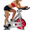 Sunny Health & Fitness Flywheel Chain Drive Pro Indoor Bike