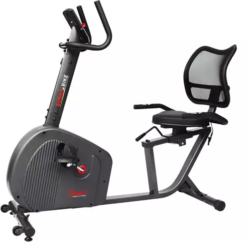 Sunny Health and Fitness Endurance Smart Recumbent Bike