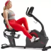 Sunny Health & Fitness Premium Smart Recumbent Bike