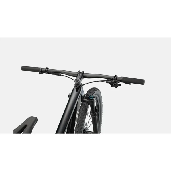 Specialized Epic 29 Hardtail Mountain Bike