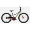 Specialized Riprock Coaster 20 Kids Mountain Bike