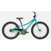 Specialized Riprock Coaster 20 Kids Mountain Bike