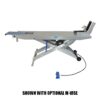 ASEplatinum Pneumatic Motorcycle Lift
