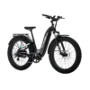 Aventon Aventure.2 Step Through E-Bike