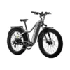 Aventon Aventure.2 E-Bike